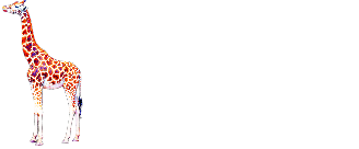Giraffe — Элитное экскорт-агентство в Красноярске